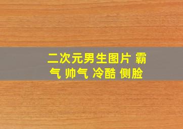 二次元男生图片 霸气 帅气 冷酷 侧脸